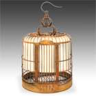CAGES