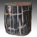 PETRIFIED WOOD