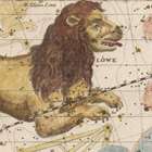 MAPS + CARTOGRAPHY