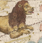 MAPS AND CARTOGRAPHY