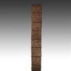 T0205116-006