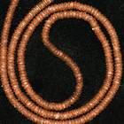 J0700-2536