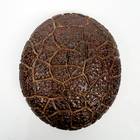 A2604-124